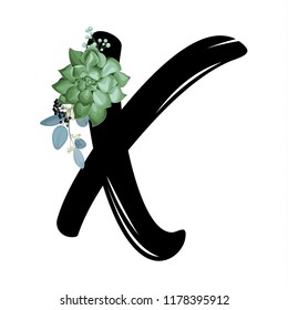 Alphabet with a succulent, X