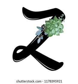 Alphabet with a succulent, Z