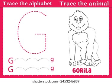 
Alphabet tracing animal gorila  Trace and color practice for kindergarten kids 