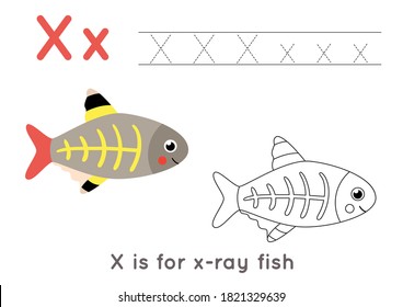 Alphabet tracing and coloring worksheet. A-Z writing pages. Letter X uppercase and lowercase tracing with cartoon x ray fish illustration. Handwriting exercise for kids. Printable worksheet.  