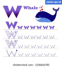 Alphabet tracing letter W worksheet for preschool kids to improove writing skills. Educational game with funny flat style whale. Element for book illustration, study programms, posters and memo cards.