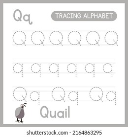 Práctica de seguimiento de alfabetos Carta Q. Página Aprendiendo actividad alfabética. hoja de trabajo de práctica de seguimiento ABC. Aprender la escritura a mano en inglés