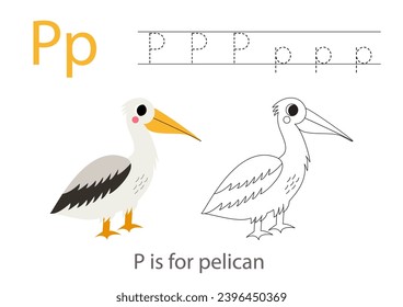 Alphabet tracing worksheet with letter P. Coloring page with cute cartoon pelican.  Handwriting practice for kids.