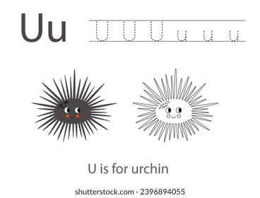 Alphabet tracing worksheet with letter U. Coloring page with cute cartoon sea urchin.  Handwriting practice for kids.