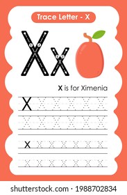 Alphabet Tracing Worksheet Letter X Ximenia Stock Vector (Royalty Free ...