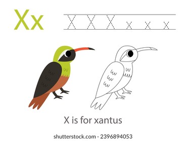 Alphabet-Ablaufverfolgungsblatt mit Buchstabe X. Farbige Seite mit süßem Cartoon Xantus.  Handschriftliche Übung für Kinder.