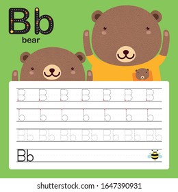 Alphabet tracing worksheet for preschool and kindergarten to improve basic writing skills, letter b, bear, vector illustration 