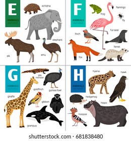 Alphabet vector design with cute animals: fox, elk, flamingo, elephant, giraffe