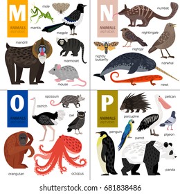 Alphabet vector design with cute animals: octopus, panda, owl, parrot, porcupine