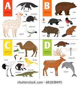 Alphabet vector design with cute animals: alpaca, bear, camel, deer, dolphin