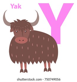 Alphabet vector illustration for letter Y with furry yak with big horns isolated on white background. Visualisation for children of ABC to make memorizing faster. Kids educational cute picture.