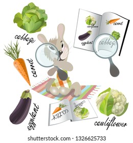 alphabet of vegetables