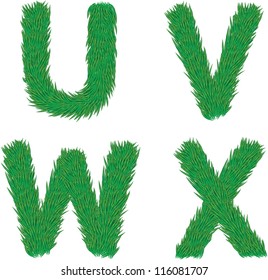 The alphabet view of a pine, a Vector element of design.