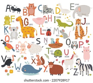 Alphabet vocabulary A to Z with cute animal hand drawn vector illustration for preschool education