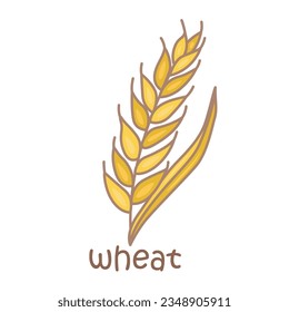 Alphabet W For Wheat Vocabulary School Lesson Cartoon Illustration Vector Clipart Sticker