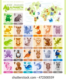 Alphabet wildlife infographics. Wild animal, sea life, bird. Baby cartoon cute modern template. Flat vector ABC illustration, world map, back to school education design. Elephant, monkey, rabbit, fox