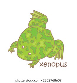 Alphabet X For Xenopus Vocabulary School Reading Lesson Cartoon Illustration Vector Clipart Sticker
