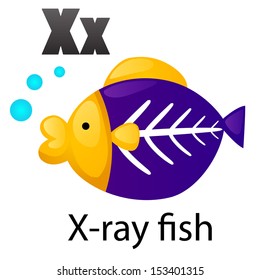 Alphabet X with X-ray fish