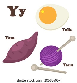 Alphabet Y letter.Yam,Yarn,Yolk