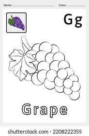 Alphabet A to Z Coloring book - Exercises for kids - vector illustrations and lines. Coloring Grape for the alphabet G