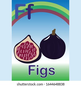 alphabeth flash card fruit set for kids