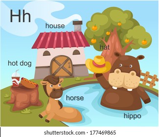 Alphabet.H letter.hot dog,house, hat ,horse,hippo.