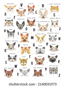 Alphabetical cat breed poster. Vector illustration. 