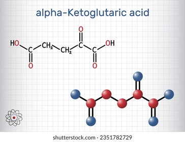 Alpha-ketoglutaric acid, 2-oxoglutaric acid, oxoglutarate, alpha ketoglutarate  molecule. Intermediate metabolite in Krebs cycle. Sheet of paper in cage. Structural formula, molecule model. Vector