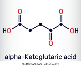 Alpha-ketoglutaric acid, 2-oxoglutaric acid, oxoglutarate, alpha ketoglutarate  molecule. It is intermediate metabolite in Krebs cycle. Skeletal chemical formula. Vector illustration