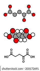 Alpha-ketoglutaric acid (ketoglutarate, oxo-glutarate). Intermediate molecule in the Krebs cycle. Found to prolong lifespan (in nematodes). Stylized 2D renderings and conventional skeletal formula.