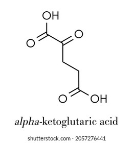 Alpha-ketoglutaric acid (ketoglutarate, oxo-glutarate). Intermediate molecule in the Krebs cycle. Found to prolong lifespan (in nematodes). Skeletal formula.