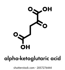 Alpha-ketoglutaric acid (ketoglutarate, oxo-glutarate). Intermediate molecule in the Krebs cycle. Found to prolong lifespan (in nematodes). Skeletal formula.