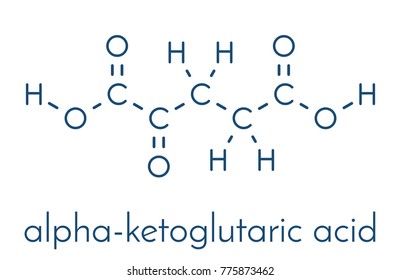 Alpha-ketoglutaric acid (ketoglutarate, oxo-glutarate). Intermediate molecule in the Krebs cycle. Found to prolong lifespan (in nematodes). Skeletal formula.