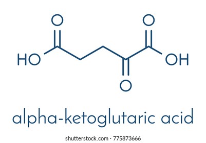 Alpha-ketoglutaric acid (ketoglutarate, oxo-glutarate). Intermediate molecule in the Krebs cycle. Found to prolong lifespan (in nematodes). Skeletal formula.