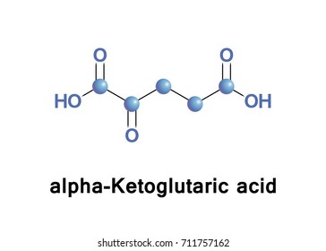 alpha-Ketoglutaric acid is one of two ketone derivatives of glutaric acid. It is the keto acid produced by deamination of glutamate, and is an intermediate in the Krebs cycle.