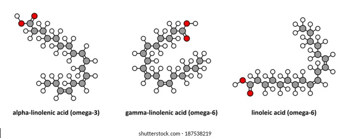 Alpha-linolenic (omega-3, ALA), gamma-linolenic (omega-6) and linoleic (omega-6) acid. Stylized 2D renderings.