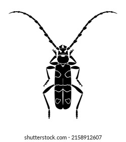 Alpine barbel beetle, Rosalia alpina. Black vector silhouette of a beetle with long whiskers, listed in the Red Book. Vector illustration isolated on a white background.