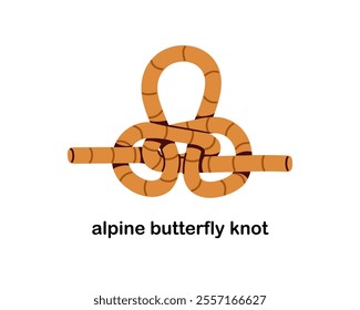 Alpine butterfly knot, loop . Tied rope, fixed cord noose. Strong structure, security and safey string, lace, cable utility tool. Flat graphic vector illustration isolated on white background