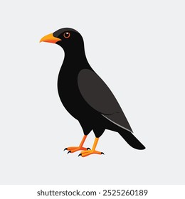 Ilustração de arte vetorial Alpine Chough