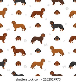 Alpine Dachsbracke seamless pattern. Different poses, coat colors set.  Vector illustration