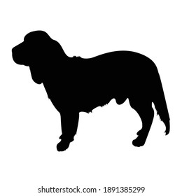 Alpine Dachsbracke Silhouette Vector Illustration.