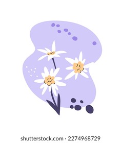 Alpine flowers. Edelweiss. Vector illustration for print, packaging, textile, apparel, embroidery. EPS clip art design.