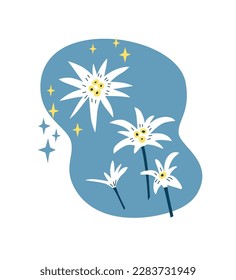 Alpine flowers. Edelweiss. Vector illustration for print, packaging, textile, apparel, embroidery. EPS clip art design.