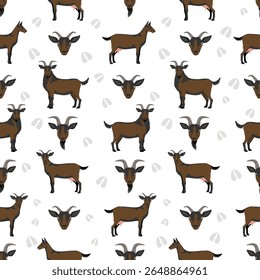 Alpine goat. Goat breeds infographic design. Animal farming flat graphic. Vector illustration