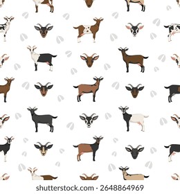 Cabra alpina. Caprino cria design infográfico. Gráfico plano de criação animal. Ilustração vetorial