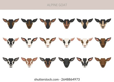 Cabra alpina. Caprino cria design infográfico. Gráfico plano de criação animal. Ilustração vetorial