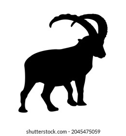 Alpine Ibex Silhouette, Capra Ibex, Aimal Vectro Illustration