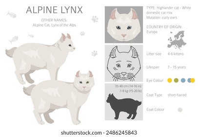 Alpine Lynx clipart. Highlander, All coat colors set.  All cat breeds characteristics infographic. Vector illustration