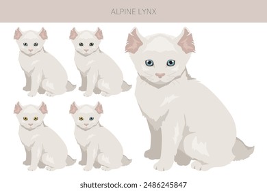 Alpine Lynx clipart. Highlander, All coat colors set.  All cat breeds characteristics infographic. Vector illustration