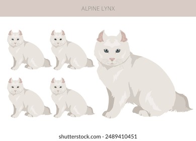 Alpine Lynx clipart. Highlander, All coat colors set.  All cat breeds characteristics infographic. Vector illustration